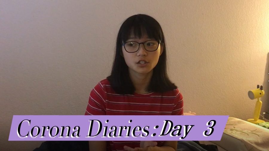 Corona Diaries | Day 3: Total Isolation