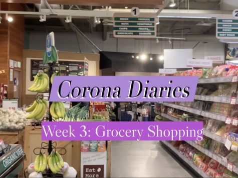 Corona Diaries | Week 3: Grocery Shopping