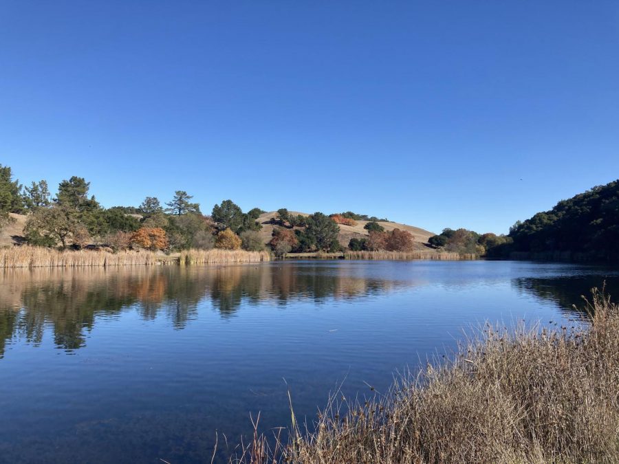 November at Foothills