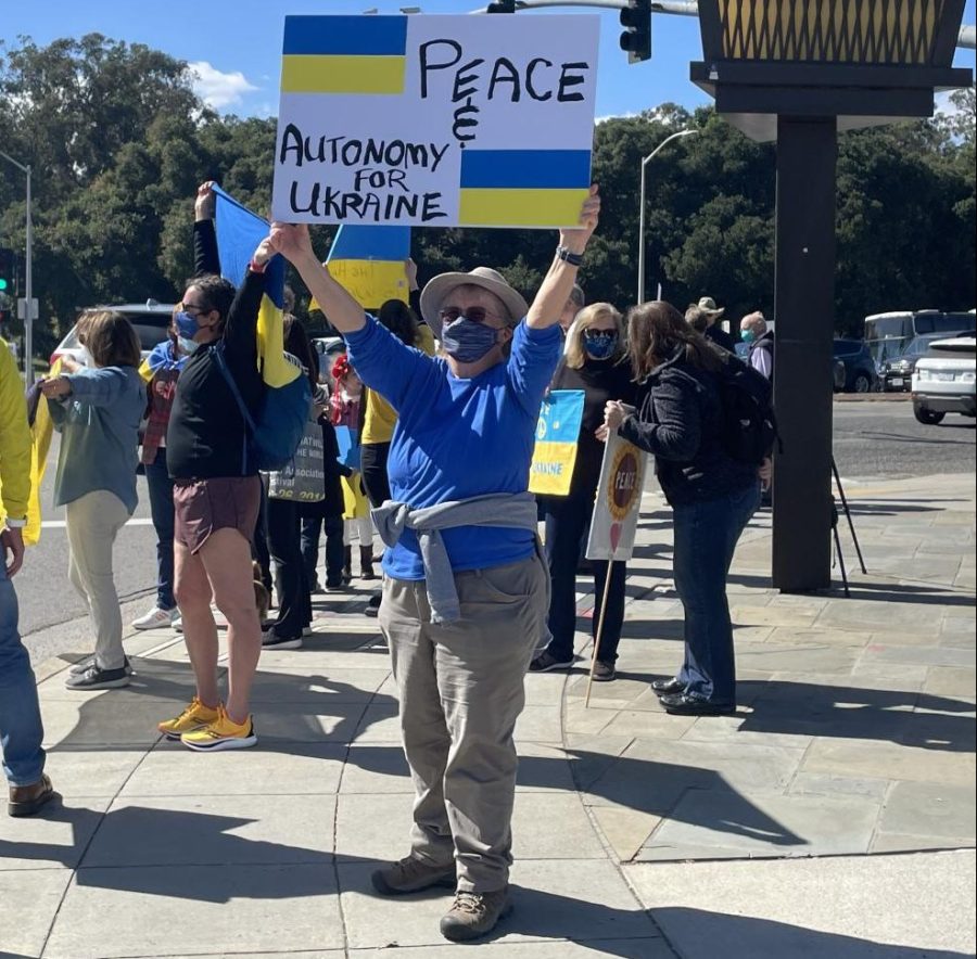 A protester holds a sign that reads: "Peace & Autonomy for Ukraine." She's wearing blue and yellow, the colors of the Ukrainian flag. She's currently attending a protest for peace in Ukraine.