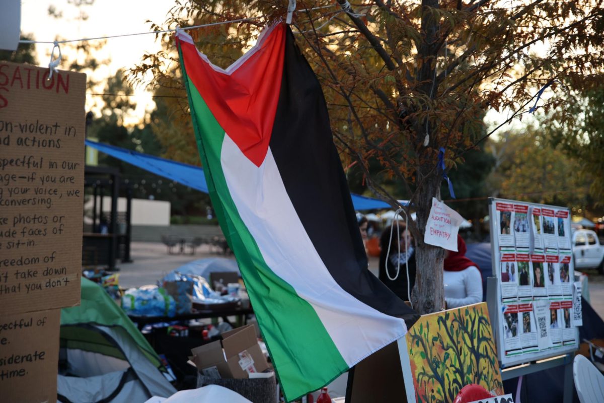 At the White Plaza, Stanford students are organizing a sit-in calling for Stanford to condemn the Israeli siege of Gaza.
