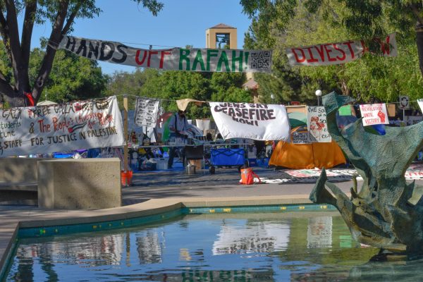 The student encampment at White Plaza. Standing in front of the White Memorial fountain is an encampment surrounded by tents and an outer layer of banners. One sign states “Hands Off Rafah!”