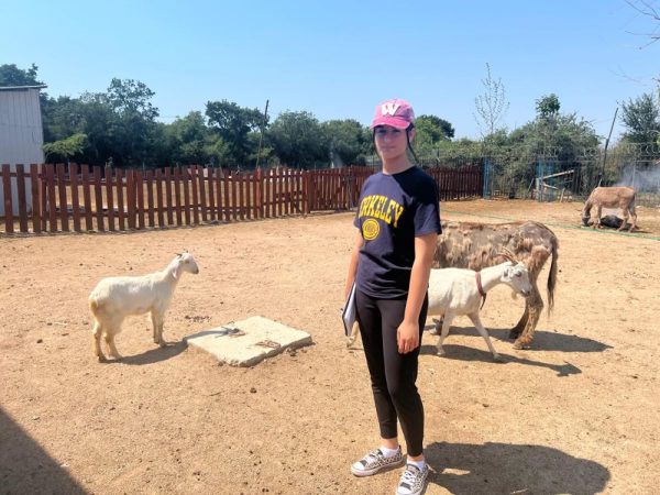 With a notebook in hand ready to take notes for her animal rights activism blog, Paly junior Asya Buyukcangaz stands in a goat pen in the Retired Animals Farm in Bursa, Turkey. 