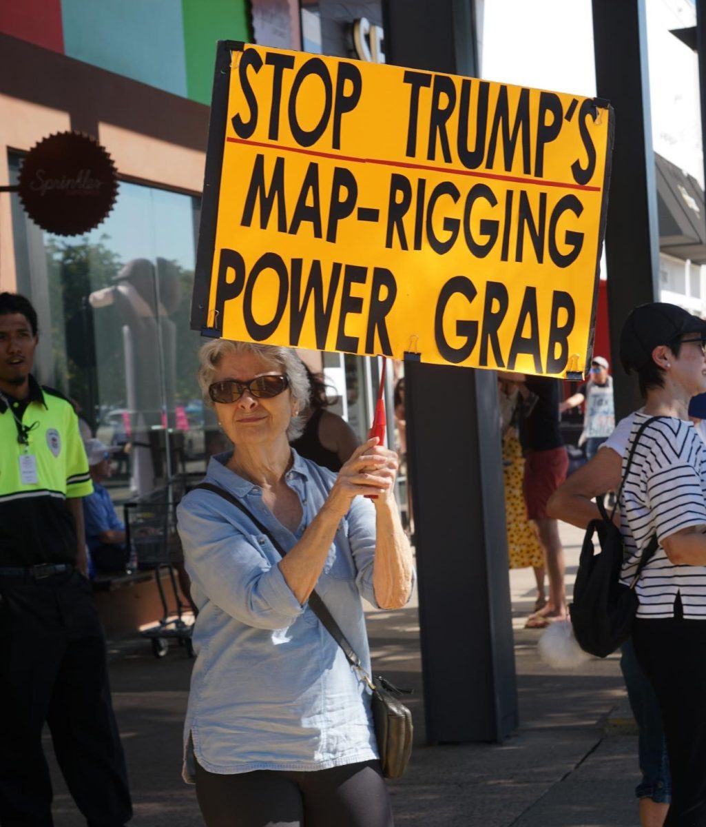 STANDING FOR DEMOCRACY
Woman uses picket signs to promote civic engagement at Labor Day Protest.
