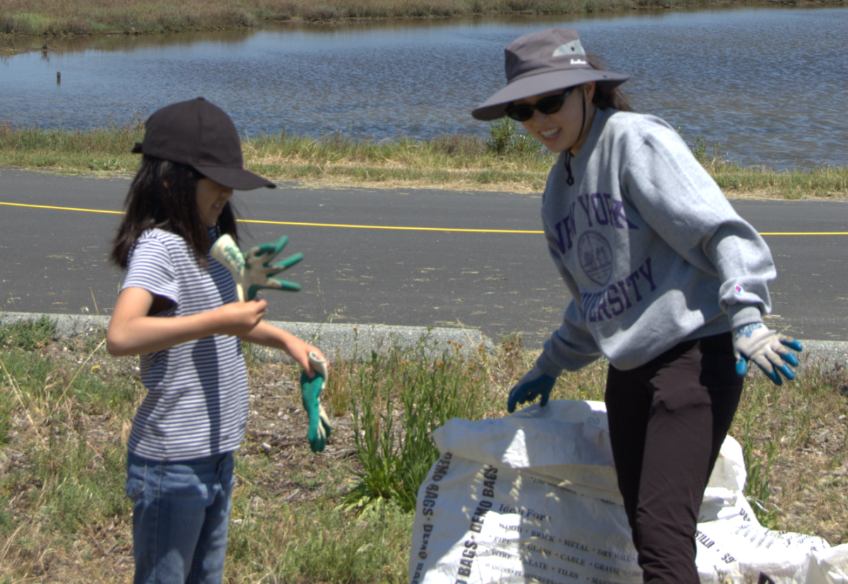 LITTLE RESTORATIONIST — 7-year-old Zoe removes invasive weeds during the Save The Bay restoration event. Volunteers cleared weeds to help maintain the wetlands. “This is important because then there’s not too many weeds,” Zoe said. “Weeds
take the other plants resources and then keeps it for itself and grows and grows and grows.”